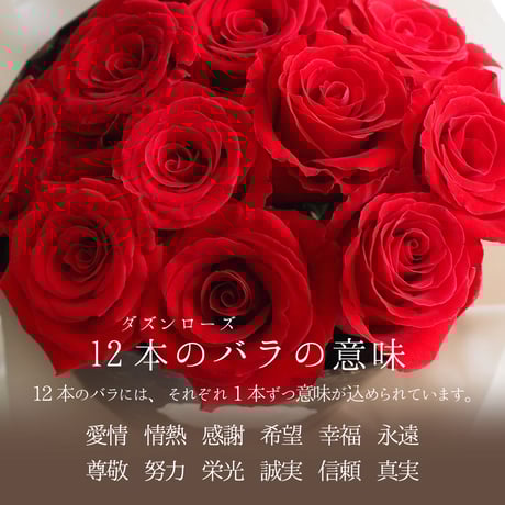 プロポーズ用花束生花12本 ダズンローズ 赤バラ専門農家佐藤さん直送