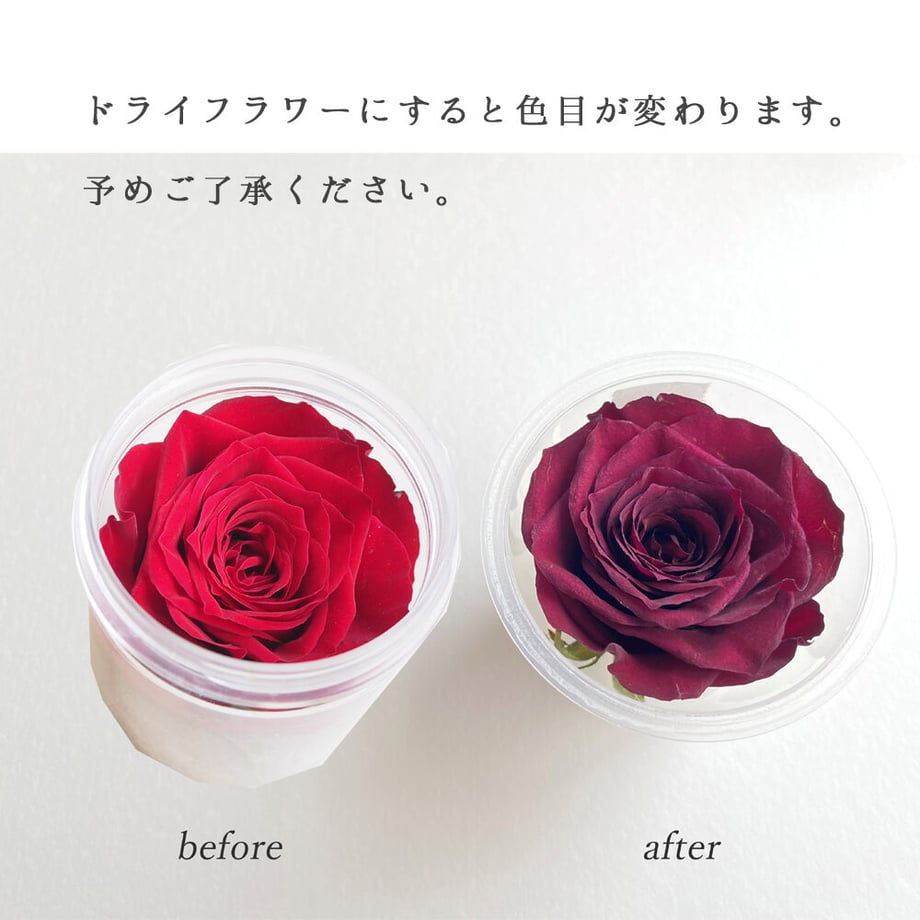 614f40c82305576f81acd081
