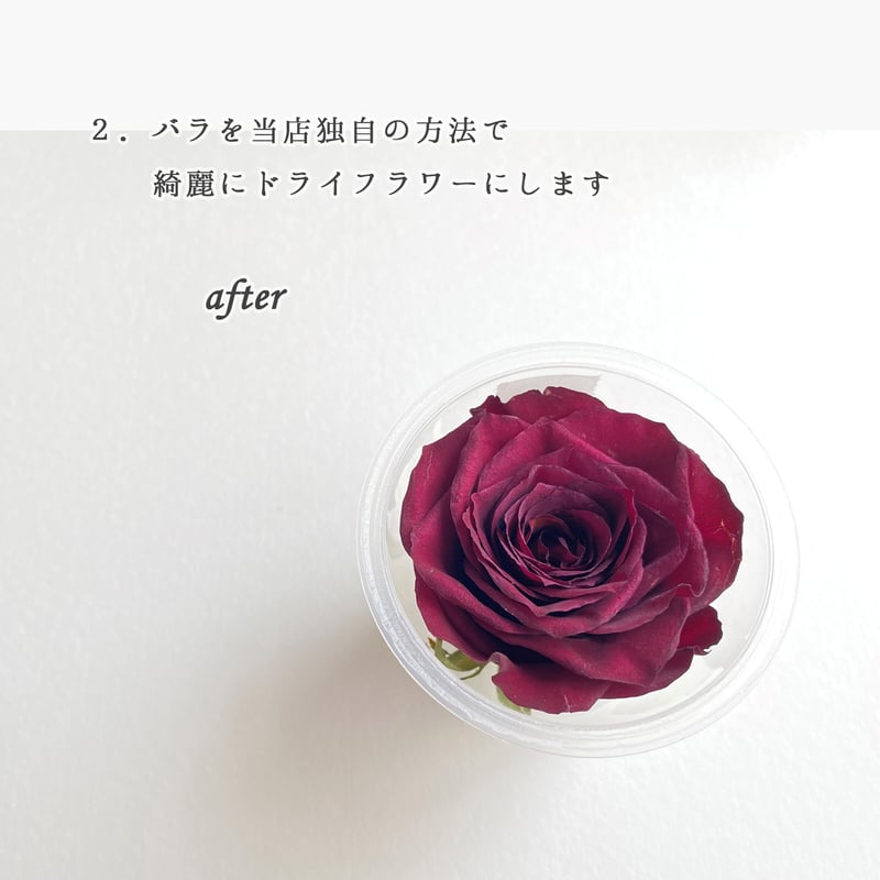 2人のプロポーズの想い出をカタチに残すバラのレジン保存加工 キューブ