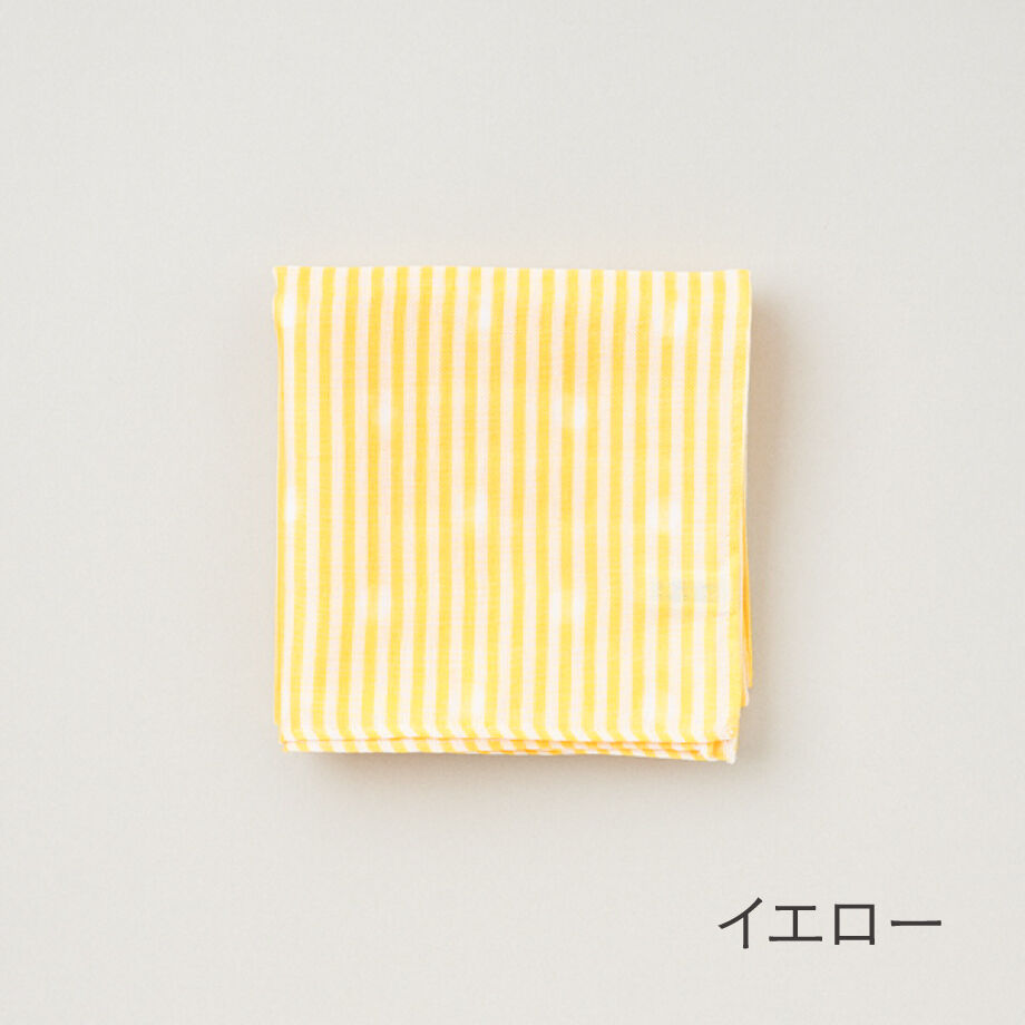 63f2f1b63cea4a0001b4b812