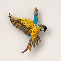 Trovelore ブローチ/BLUE ＆YELLOW MACAW