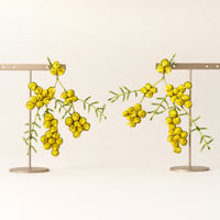 Trovelore ピアス/YELLOW MIMOSA