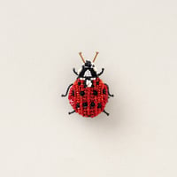 Trovelore ブローチ/LADY BIRD BEETLE
