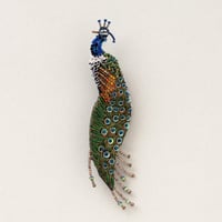 Trovelore ブローチ/INDIAN PEACOCK