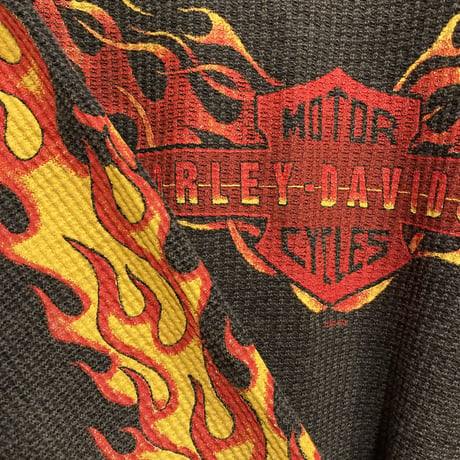 [USED] HARLEY DAVIDSON  🔥🔥FIRE~~サーマル