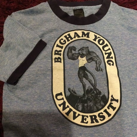 [USED] かっこいい豹 の VINTAGE Anvil   Tee