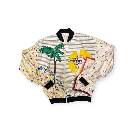 [USED] The Beach Boys vintage  PAPER JACKET