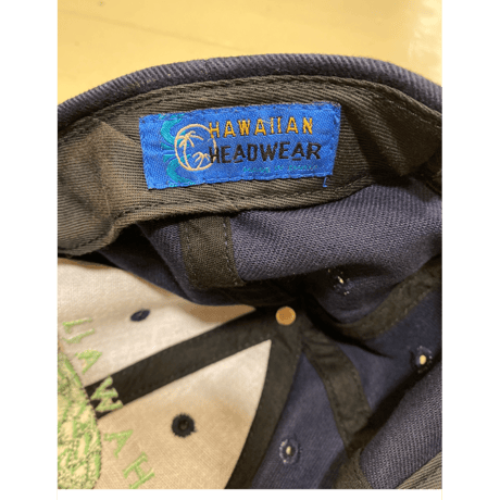 [USED] Hawaii turtle cap🐢