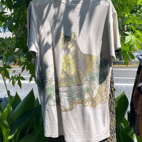 [USED] Female Lion プリントTee