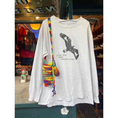 [USED] 90's anvil BIRD ロンTee