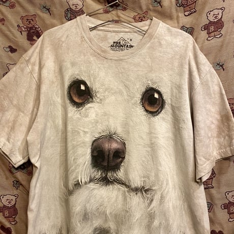 [USED] "the mountain"  ANIMAL Tee