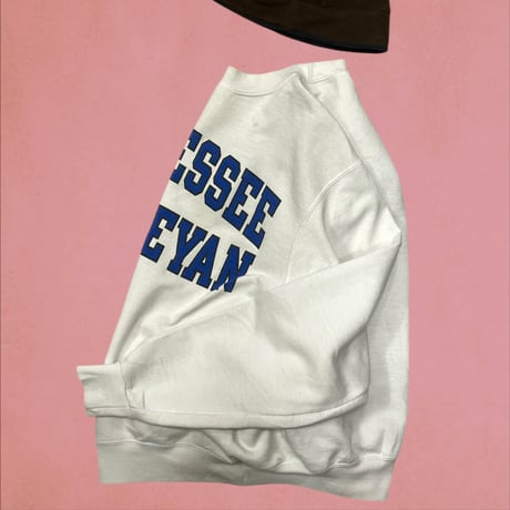 [USED]champion tennessee wesleoan univ sweat