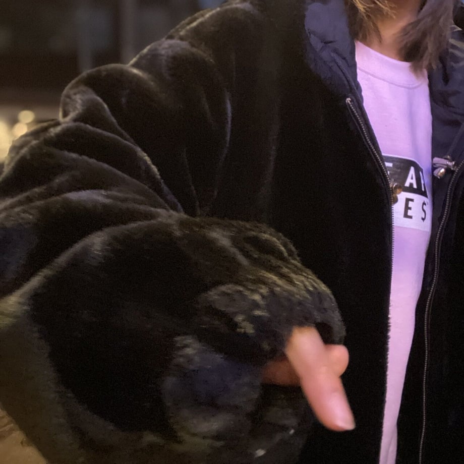 61c80d5c2ee5c24412f3745c