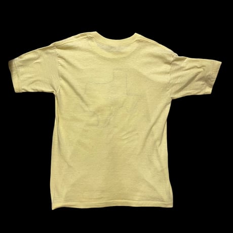 [USED] vintage TEXAS PRINT tee
