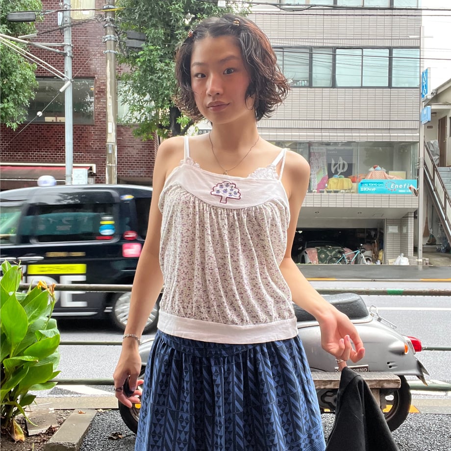 66d17451b1f1ec038c6ced0e