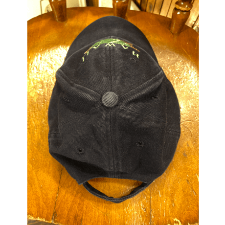 [USED] Hawaii turtle cap🐢
