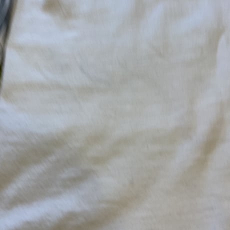 [USED] HARLEY DAVIDSONポケットロン T
