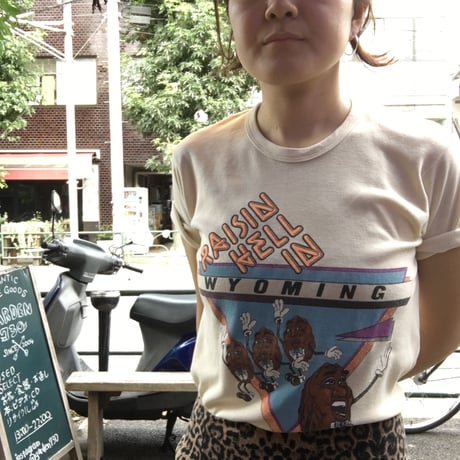 [USED] CALIFORNIA RAISIN Tee