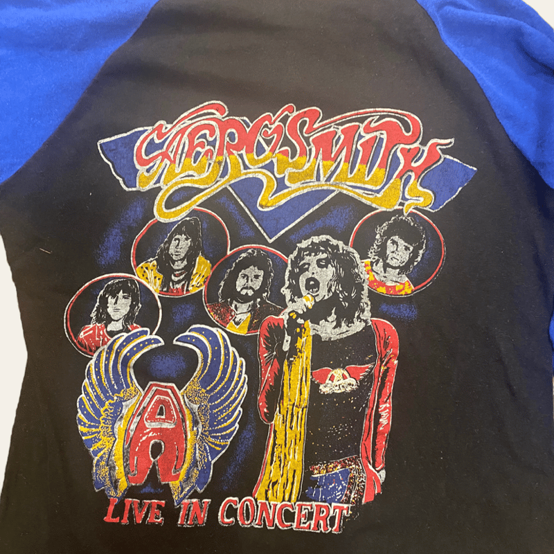 70s エアロスミス ラグランT パキ綿 USED] エアロスミス🎸ラグランtee | garden730