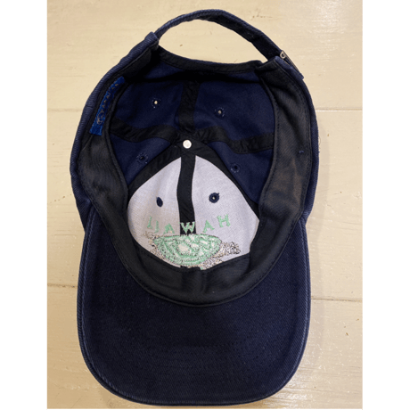 [USED] Hawaii turtle cap🐢