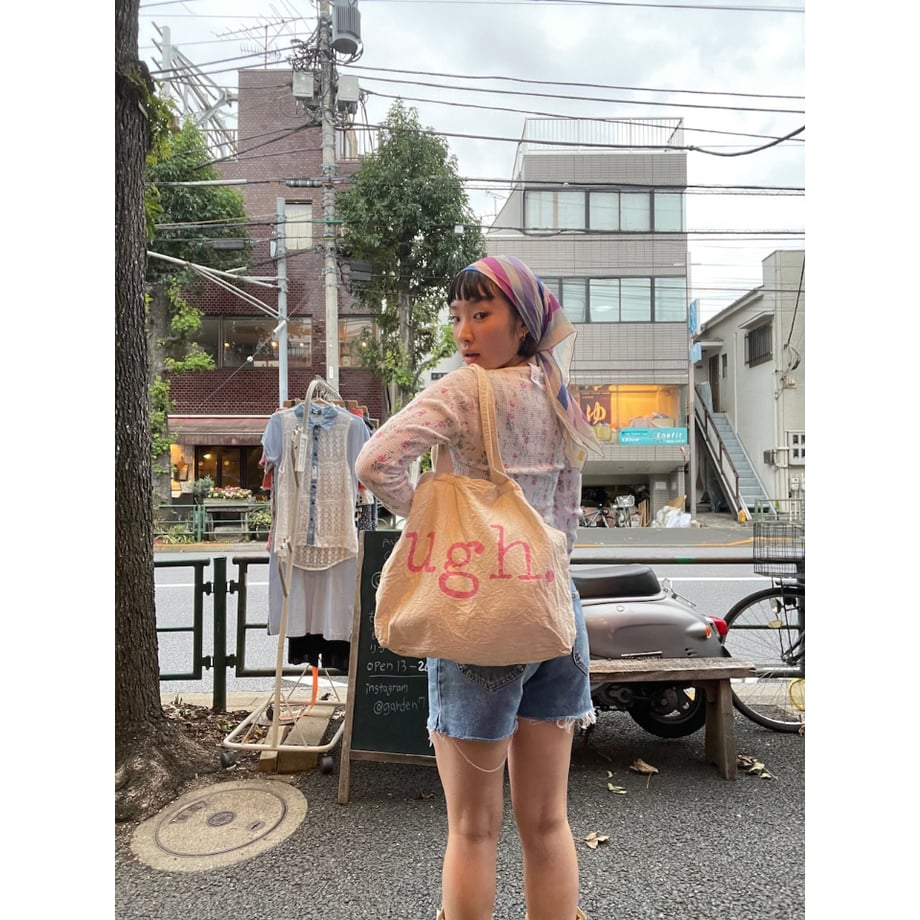68c3dea586b6603524166039
