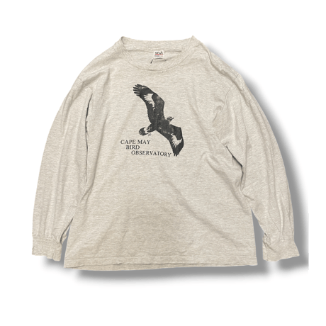 [USED] 90's anvil BIRD ロンTee