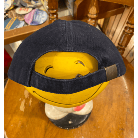[USED] Hawaii turtle cap🐢
