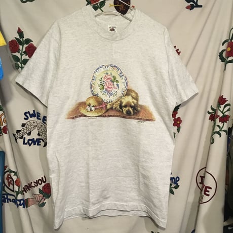 [USED] ダサかわ♡FLUIT OF THE ROOM tee