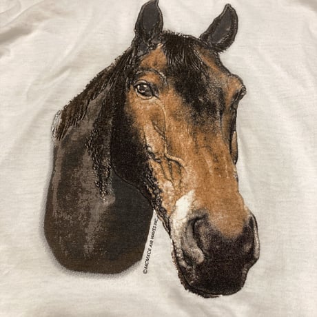 [USED] イケメン 馬プリントTee