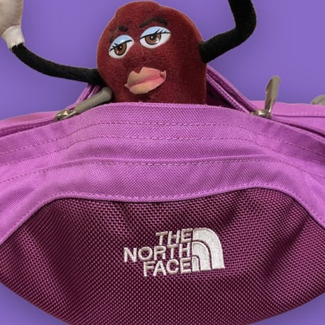 [USED] THE NORTH FACE 🍇ウエストPOUCH