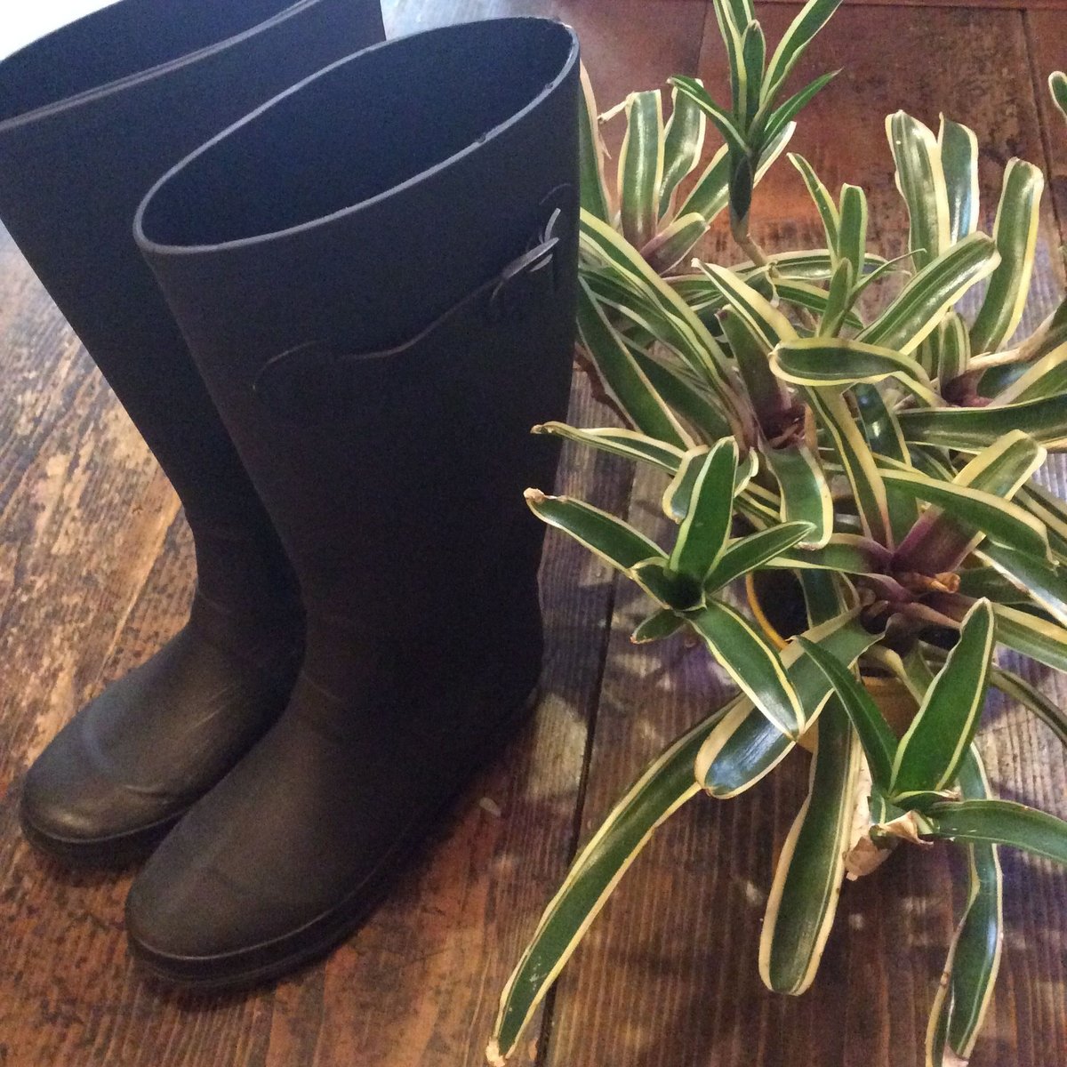 6900□レインブーツ MARC JACOBS 長靴 ラバー bc07x1 6900□レインブーツ MARC JACOBS 長靴 ラバー bc07x1 | ¡Compre