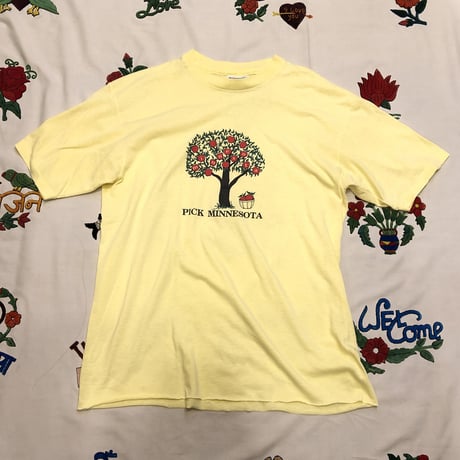 [USED] VINTAGE "MINNESOTA" Tee 🍎
