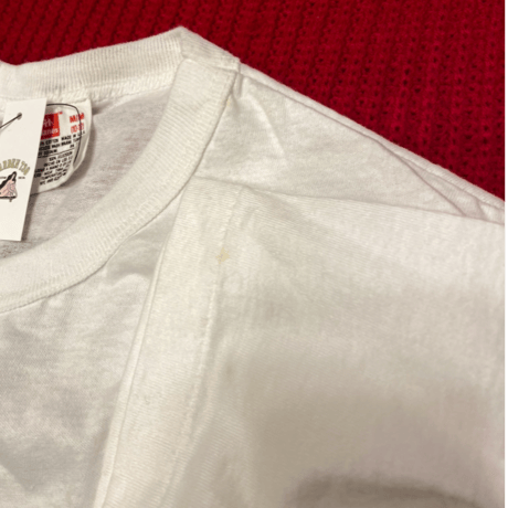 [DEADSTOCK] 90's Hanes 🐭 Print Tee