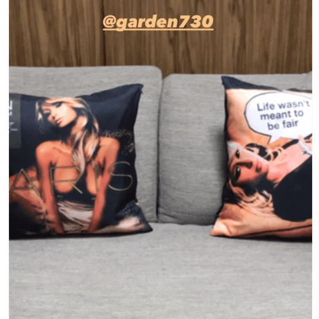 [Besidethebag ] “BANKSY's spoofing of PARIS HILTON"Cushion
