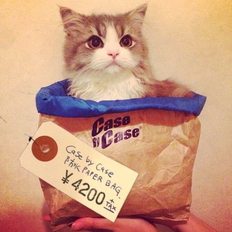[CASE by CASE] 防水 PAPER BAG