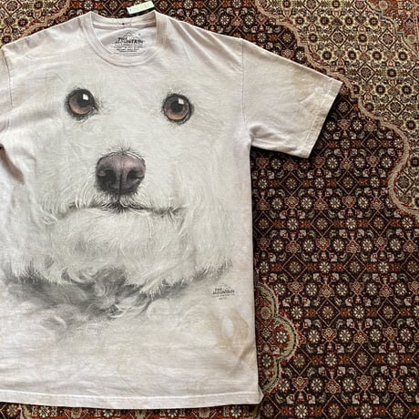 [USED] "the mountain"  ANIMAL Tee
