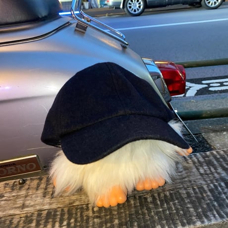 [USED] wool 風 BLACK CAP