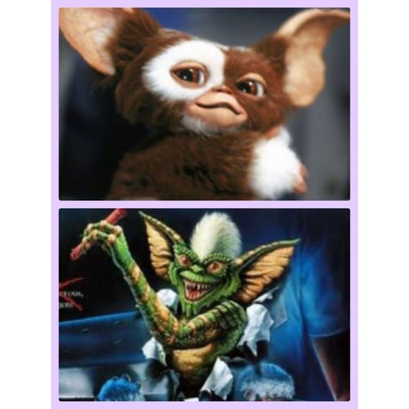 ［USED］GREMLiNS Tee♡