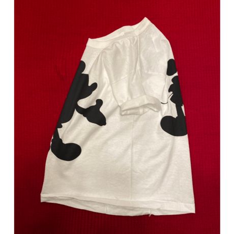 [DEADSTOCK] 90's Hanes 🐭 Print Tee