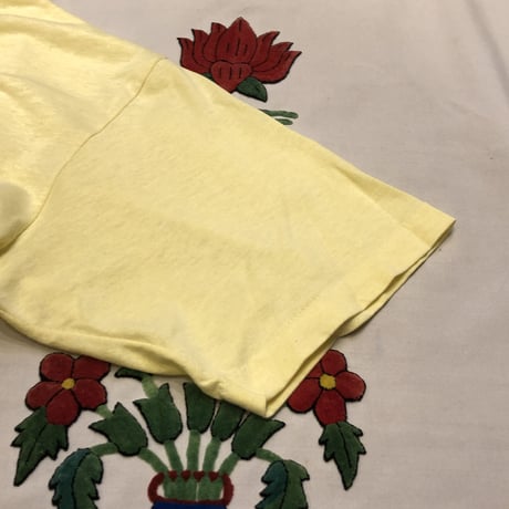 [USED] VINTAGE "MINNESOTA" Tee 🍎
