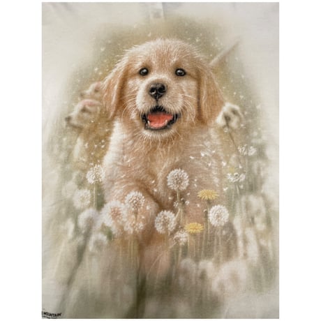[USED]犬ほっこりプリント Tee 🐶