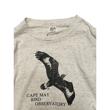 [USED] 90's anvil BIRD ロンTee