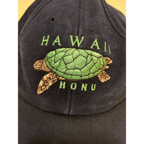 [USED] Hawaii turtle cap🐢