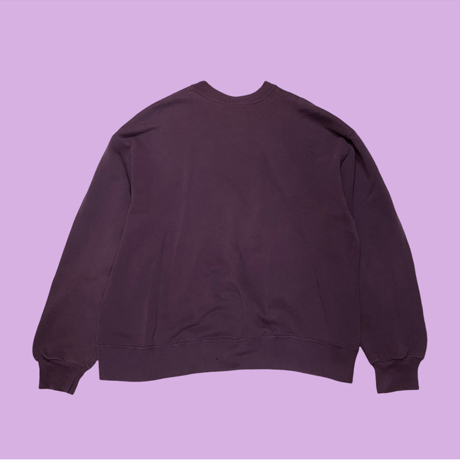 [USED] Hanes PURPLE SWEAT