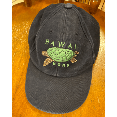 [USED] Hawaii turtle cap🐢