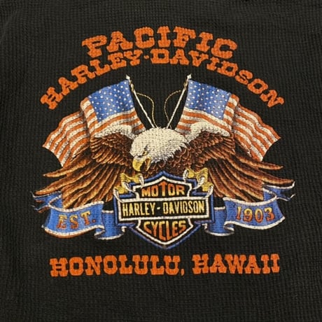 [USED] HARLEY-DAVIDSON🔥サーマル