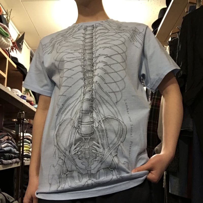 Tシャツ 345120と122525 粋 鳳凰純麗ロングTシャツ 絡繰魂 243092 和柄 和風 刺繍