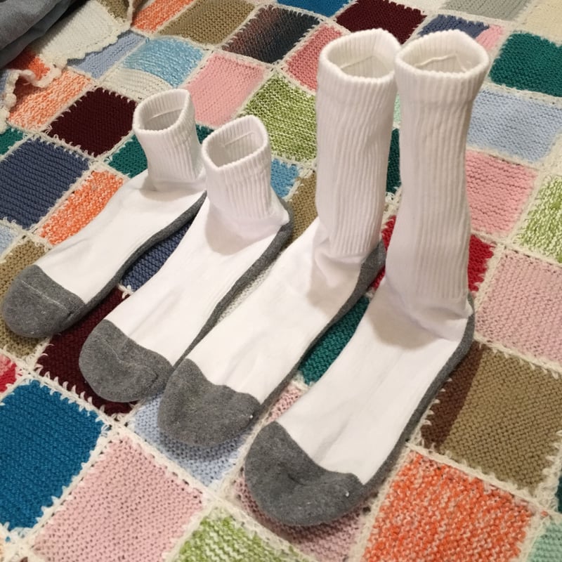 SELECT] GILDAN SOCKS -LO & HI- | garden730