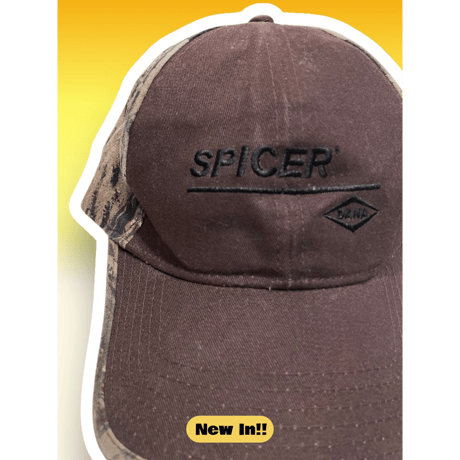 [USED] カモ柄2トーンのパネルCAP