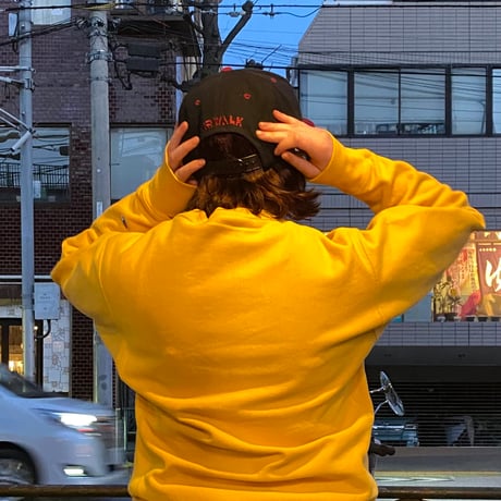 [DEAD STOCK]  AIRWALK 6パネル CAP